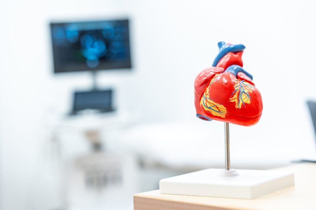 Livros digitais de medicina quais os principais ebooks de cardiologia