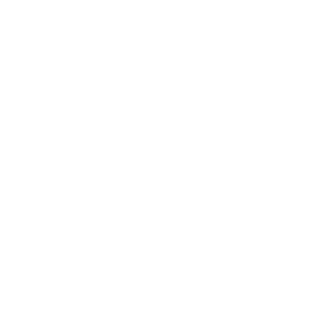 Logo Blucher