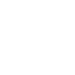 Logo Minotauro