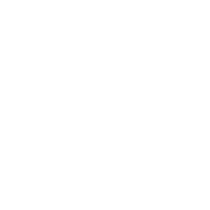 Logo Tordesilhas